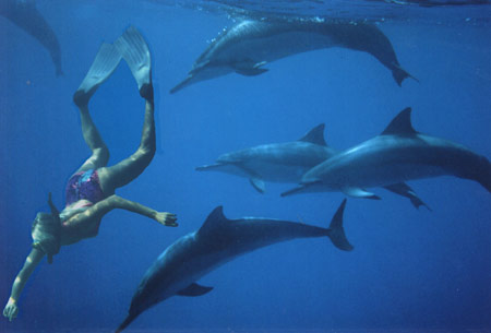 Joan pointing something out to the dolphins...